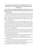 LÝ LUẬN CHUNG VỀ HẠCH TOÁN QUÁ TRÌNH TIÊU THỤ VÀ XÁC ĐỊNH KẾT QUẢ TIÊU THỤ TRONG DOANH NGHIỆP KINH DOANH THƯƠNG MẠI