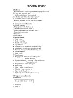 REPORT SPEECH