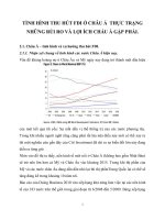 TÌNH HÌNH THU HÚT FDI Ở CHÂU Á  THỰC TRẠNG NHỮNG RỦI RO VÀ LỢI ÍCH CHẤU Á GẶP PHẢI