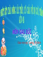 bãi:tiet kiemtien cua