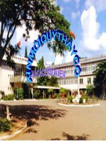 Tập làm văn Lễ hội