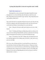 Áp dụng biện pháp đốn tỉa cành mới trong thâm canh vải thiều