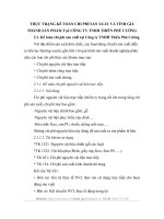 THỰC TRẠNG KẾ TOÁN CHI PHÍ SẢN XUẤT VÀ TÍNH GIÁ THÀNH SẢN PHẨM TẠI CÔNG TY TNHH THIÊN PHÚ CƯỜNG