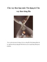 Cho vay theo hạn mức Tín dụng & Cho vay theo từng lần
