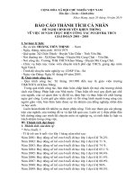 bao cao TTCN 10 năm phổ cập