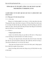 TỔNG QUAN VỀ TỔ CHỨC CÔNG TÁC KẾ TOÁN TẠI CHI NHÁNHCÔNG TYMEKONG AUTO