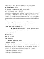 THỰC TRẠNG TÌNH HÌNH TÀI CHÍNH TẠI CÔNG TY TNHH QUẢNG CÁO SÔNG XANH