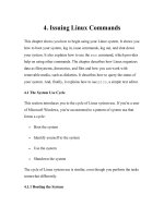 Learning DebianGNU Linux-Chapter 4: Issuing Linux Commands