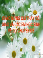 Tiết 53: Cơ quan phân tích thính giác