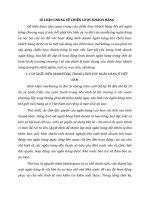 LÝ LUẬN CHUNG VỀ CHIẾN LƯỢC KHÁCH HÀNG