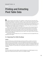 Printing and Extracting Pivot Table Data