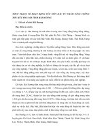 THỰC TRẠNG VỀ HOẠT ĐỘNG XÚC TIẾN ĐẦU TƯ NHẰM TĂNG CƯỜNG THU HÚT FDI VÀO TỈNH HẢI DƯƠNG