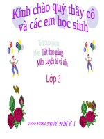 LT&C3 - nhân hóa, ôn tập cáchđặt...