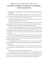 GIẢI PHÁP CHO NGHIỆP VỤ TÍN DỤNG CỦA CÁC NGÂN HÀNG THƯƠNG  MẠI VIỆT NAM