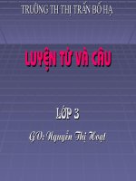 TUAN 3 - Luyen tu va cau - Lop 2