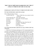 Thực trạng triển khai Marketing mục tiêu ở công ty TNHH NN MTV Dệt 19-5 Hà Nội