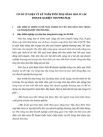 CƠ SỞ LÝ LUẬN VỀ KẾ TOÁN TIÊU THỤ HÀNG HOÁ Ở CÁC DOANH NGHIỆP THƯƠNG MẠI