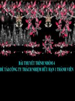 công ty trách nhiệm hữu hạn một thanh viên