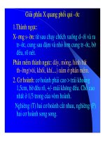 Giải phẫu X-quang phổi quy ước