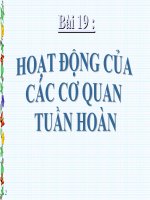 Bài 19: Hoạt động của các cơ quan tuần hoàn