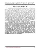 Sáng kiến kinh nghiệm Đội TNTPHCM