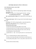 GIỚI THIỆU KHÁI QUÁT CÔNG TY SÔNG ĐÀ II