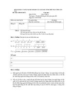 Đề thi MTCT khu vực 2010