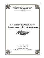 BAO CAO KET QUA VIEC LAM MOI