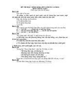 DE THI HSG LOP 5 (Thang 11)