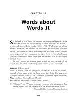 Words about Words II