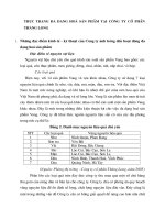 THỰC TRẠNG ĐA DẠNG HOÁ SẢN PHẨM TẠI CÔNG TY CỔ PHẦN THĂNG LONG