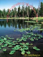 tiet 21. ho hap va co quan ho hap