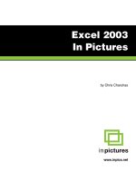 Excel 2003 in Pictures