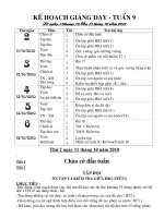 giáo án tuần 9 - lớp 3.CKTKN Hường