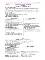 Giao an tuan 10 lop 5 hai buoi theo chuan kien thuc ki nang