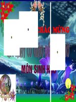 Bai 29-Hap thu chat dinh duong va thai phan