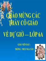 Tập hợp các số nguyên(Số học 6)