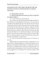 GIẢI PHÁP DUY TRÌ VÀ PHÁT TRIỂN THỊ TRƯỜNG TIÊU THỤ SẢN PHẨM TẠI CÔNG TY CỔ PHẦN BAO BÌ VÀ MÁ PHANH VIGLACERA