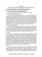 CÁC VIRUS RNA MỘT SỢI ÂM (CÓ ÁO NGOÀI) HÌNH CẦU