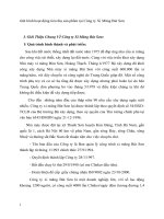 tình hình hoạt động tiêu thụ sản phẩm tại Công ty Xi Măng Bút Sơn