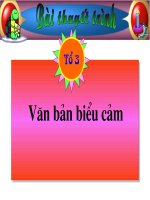 Tìm hiểu Văn Bản biểu cảm