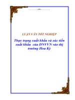 Luận văn tốt nghiệp “Thực trạng xuất khẩu và xúc tiến xuất khẩu của DNVVN vào thị trường Hoa Kỳ”