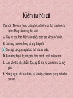 tiet 49 bai toan dan so