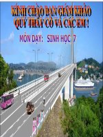 Chương II: Ngành ruột khoang: Thủy Tức- GV: Đoàn Thị Hậu - Trường THCS Nguyễn Đức Cảnh