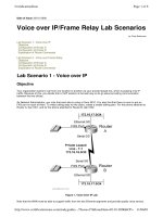 Voice over IP/Frame Relay Lab Scenarios