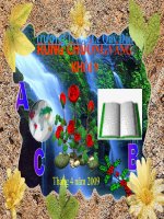 RUNG CHUÔNG VÀNG - KHỐI 9