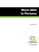 Word 2003 in Pictures