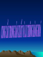 bai 5 cung cau da sua(MH)