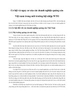 Cơ hội và nguy cơ của các doanh nghiệo quảng cáo Việt nam trong môi trường hội nhập WTO