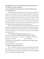 TÌNH HÌNH THỰC TẾ VỀ HOẠT ĐỘNG SẢN XUẤT KINH DOANH